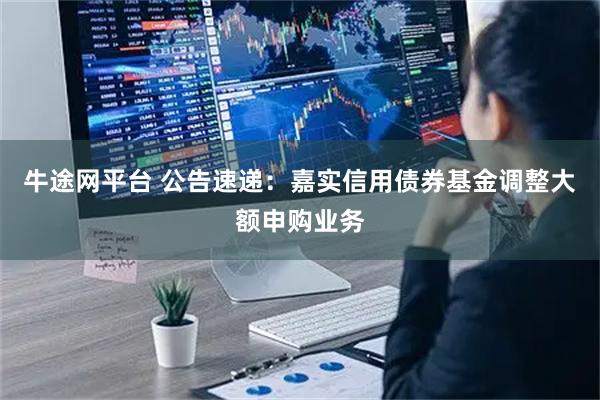 牛途网平台 公告速递：嘉实信用债券基金调整大额申购业务