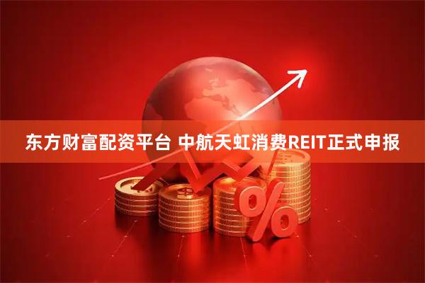 东方财富配资平台 中航天虹消费REIT正式申报