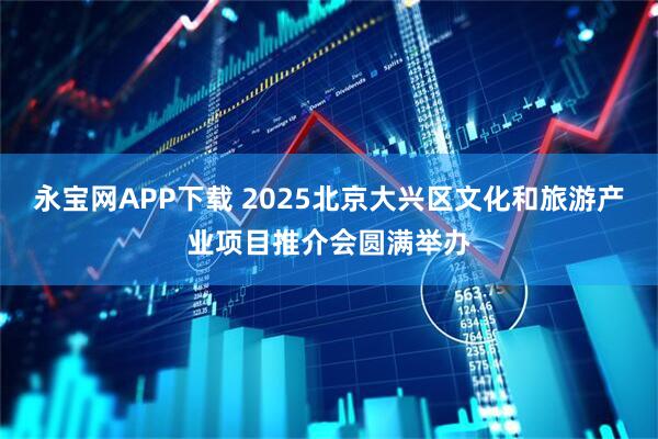 永宝网APP下载 2025北京大兴区文化和旅游产业项目推介会圆满举办